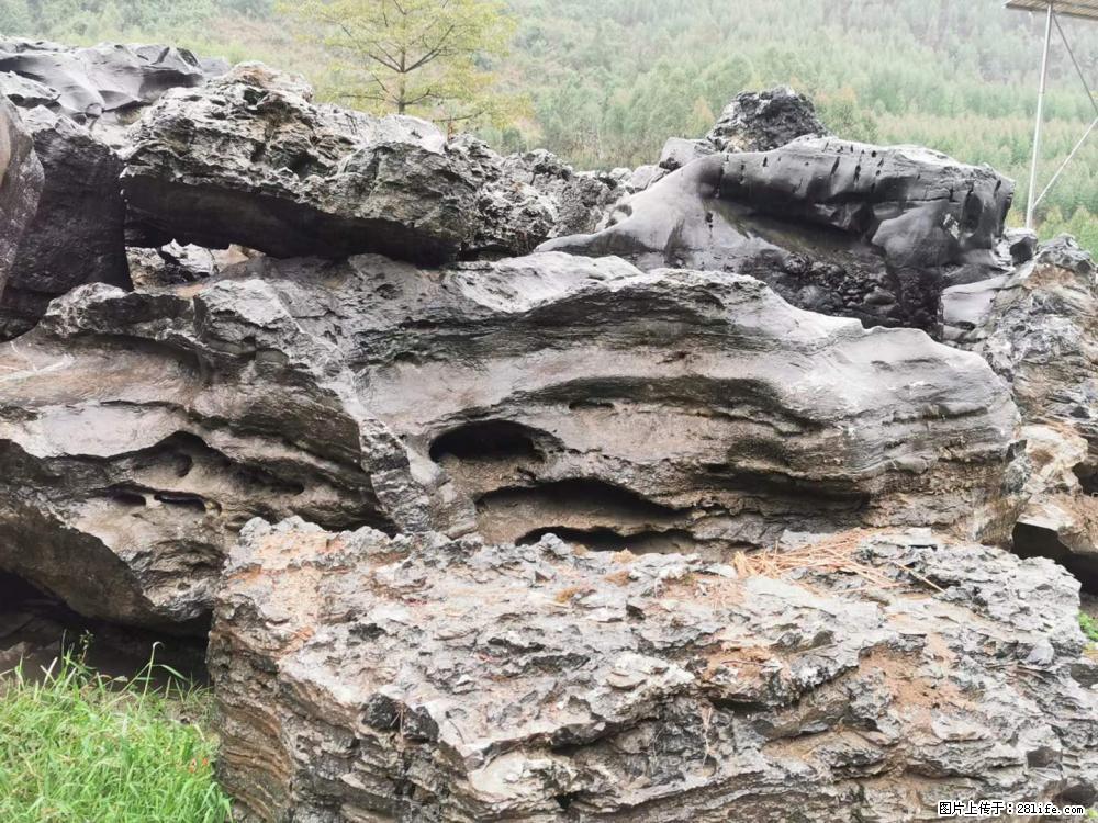 风景石、假山石大量有货，有需要的欢迎联系 - 新手上路 - 海东生活社区 - 海东28生活网 haidong.28life.net