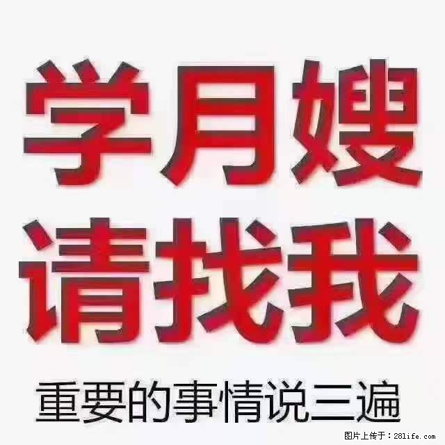 为什么要学习月嫂，育婴师？ - 其他广告 - 广告专区 - 海东分类信息 - 海东28生活网 haidong.28life.net