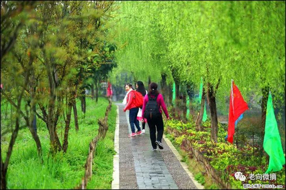 【春天，广西桂林灌阳县向您发出邀请！】江口老街又逢春 - 游山玩水 - 海东生活社区 - 海东28生活网 haidong.28life.net