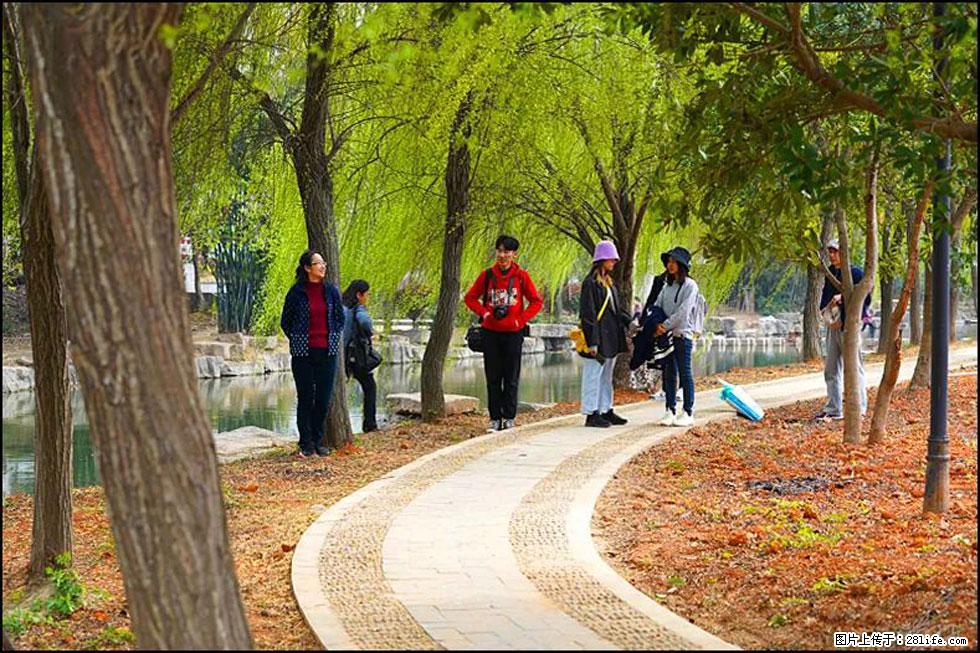 【春天，广西桂林灌阳县向您发出邀请！】江口老街又逢春 - 游山玩水 - 海东生活社区 - 海东28生活网 haidong.28life.net
