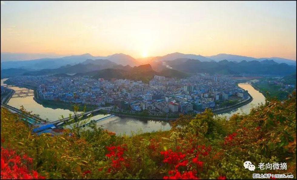 【春天，广西桂林灌阳县向您发出邀请！】登麒麟山，相约映山红 - 游山玩水 - 海东生活社区 - 海东28生活网 haidong.28life.net