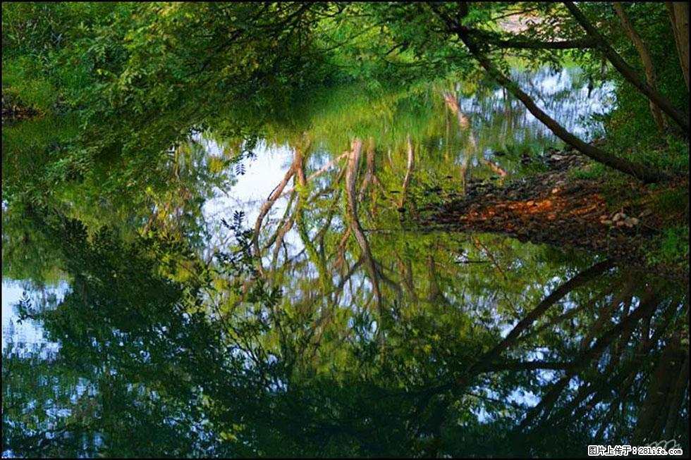 【春天，广西桂林灌阳县向您发出邀请！】熊家寨湿地公园 - 游山玩水 - 海东生活社区 - 海东28生活网 haidong.28life.net