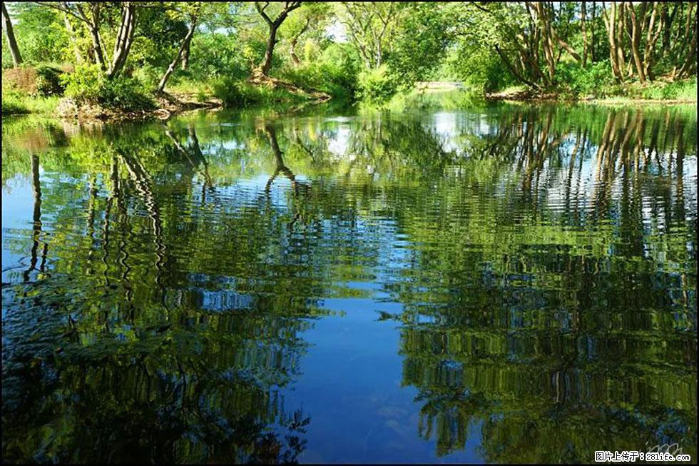 【春天，广西桂林灌阳县向您发出邀请！】熊家寨湿地公园 - 游山玩水 - 海东生活社区 - 海东28生活网 haidong.28life.net