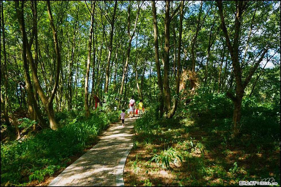 【春天，广西桂林灌阳县向您发出邀请！】熊家寨湿地公园 - 游山玩水 - 海东生活社区 - 海东28生活网 haidong.28life.net