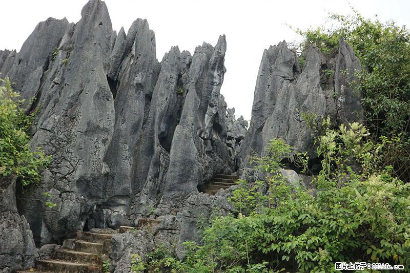 桂林旅游名城景点：灌阳文市石林 - 游山玩水 - 海东生活社区 - 海东28生活网 haidong.28life.net