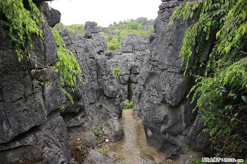 桂林旅游名城景点：灌阳文市石林 - 游山玩水 - 海东生活社区 - 海东28生活网 haidong.28life.net