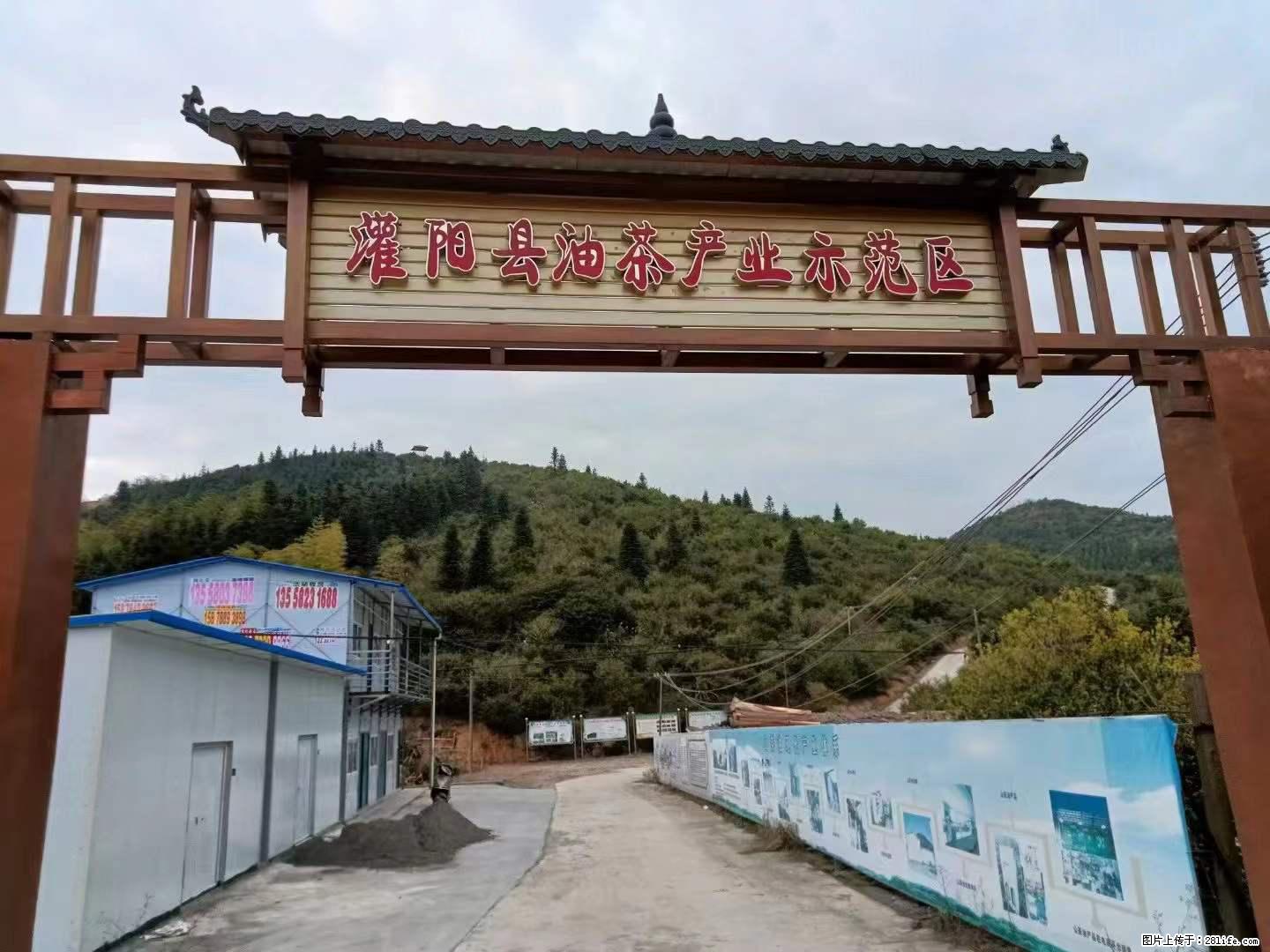 【灌阳县油茶产业示范区】一个有着充实的精神生活的人，对待身外之物自会有一种淡泊的态度 - 土特产 - 饮食特产 - 海东分类信息 - 海东28生活网 haidong.28life.net