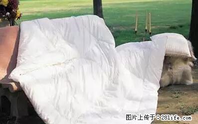 被子有异味？只要这样做，比晒太阳还强100倍！ - 家居生活 - 海东生活社区 - 海东28生活网 haidong.28life.net