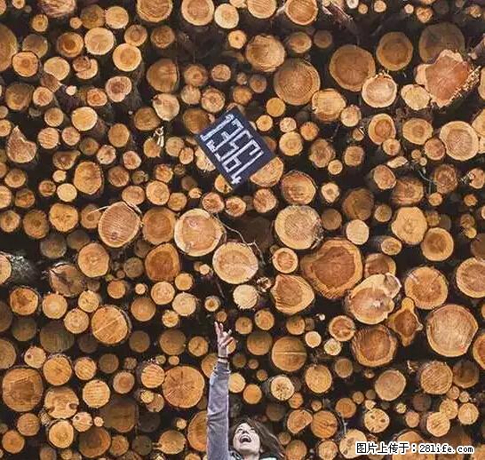 辞掉工作周游世界?现在他们在洗厕所…… - 游山玩水 - 海东生活社区 - 海东28生活网 haidong.28life.net