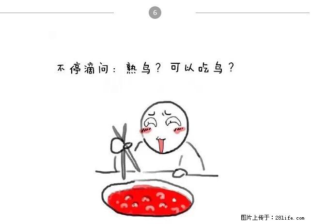 千万不要和这9种哈卵一起吃火锅！ - 美食天地 - 海东生活社区 - 海东28生活网 haidong.28life.net