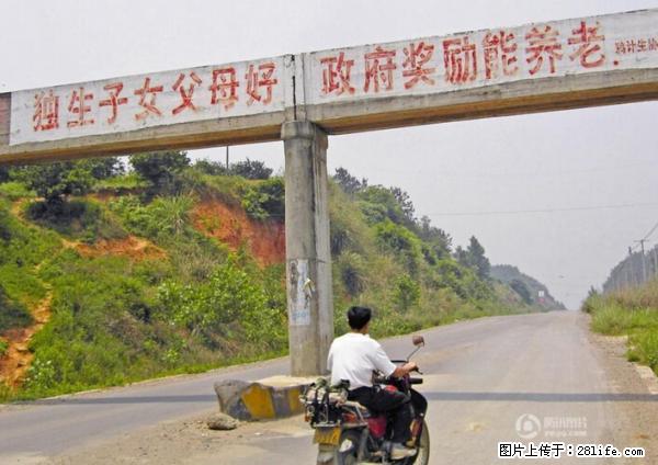 全面两孩政策计划明年元旦起实施 夫妻可延长生育假 - 海东生活资讯 - 海东28生活网 haidong.28life.net