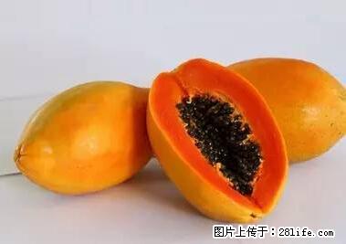 晕车、脚气、牙齿变黄、皮肤粗糙？学会这些三分钟搞定！ - 海东生活资讯 - 海东28生活网 haidong.28life.net