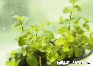 晕车、脚气、牙齿变黄、皮肤粗糙？学会这些三分钟搞定！ - 海东生活资讯 - 海东28生活网 haidong.28life.net
