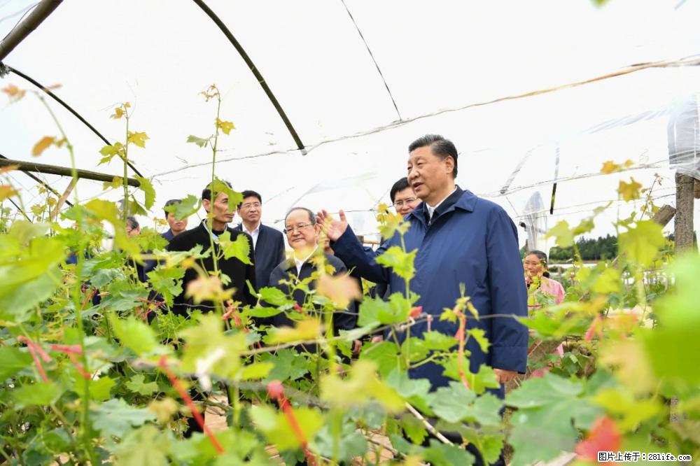 习近平赴广西考察调研 - 海东生活资讯 - 海东28生活网 haidong.28life.net