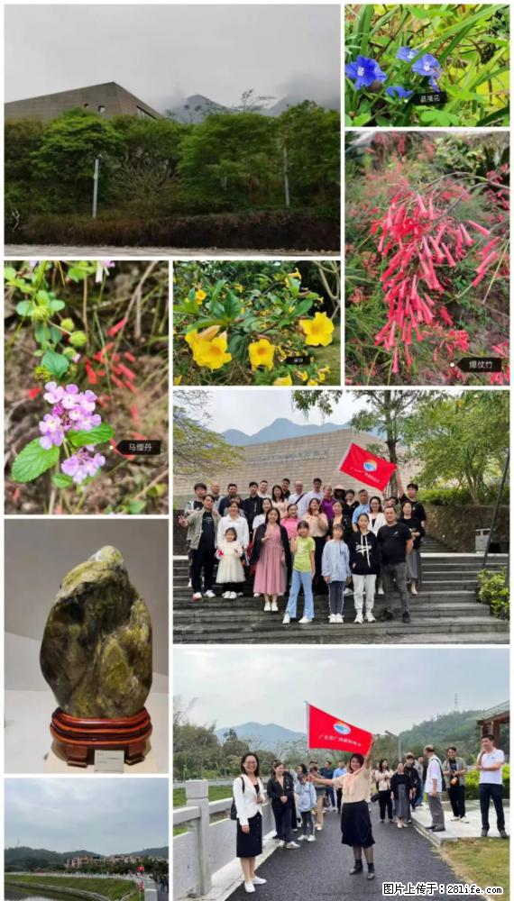 “粤灌文化 美好生活”油茶文化主题活动在广东深圳成功举办 - 海东生活资讯 - 海东28生活网 haidong.28life.net