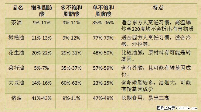 揭秘茶油的5大核心营养成分!被称为人体健康的“守护盾”! - 海东生活资讯 - 海东28生活网 haidong.28life.net