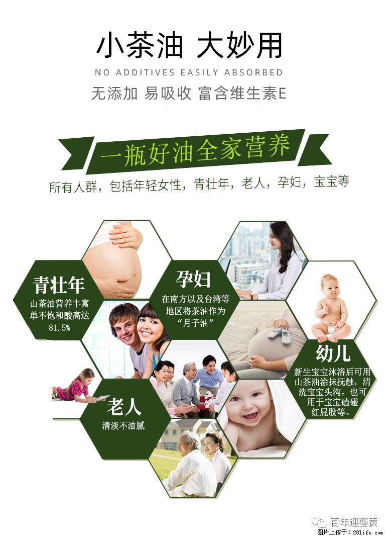 世界没有真相，只有认知，最好的食用油是中国的山茶油！ - 海东生活资讯 - 海东28生活网 haidong.28life.net