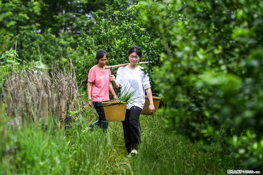 全网追的“扁担女孩”，找了一份暑假工，时薪12元 - 海东生活资讯 - 海东28生活网 haidong.28life.net