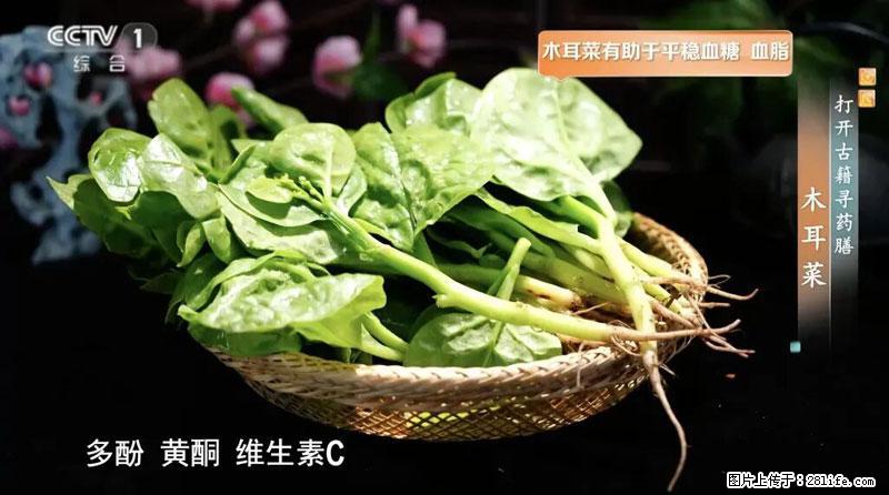 比牛奶补钙还厉害！凉血解毒、稳血糖...这菜冬天必吃，很多人却当草 - 海东生活资讯 - 海东28生活网 haidong.28life.net