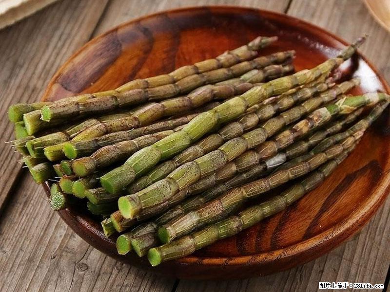 铁皮石斛的作用与功能主治 - 海东生活资讯 - 海东28生活网 haidong.28life.net