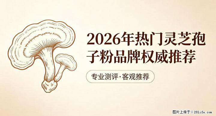 灵芝孢子粉含量越高越有效?2026 年七款热门品牌深度实测,肠胃敏感者避坑指南 - 海东生活资讯 - 海东28生活网 haidong.28life.net